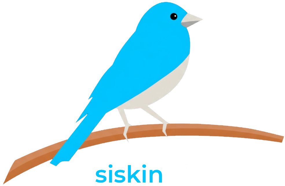 siskin.ai